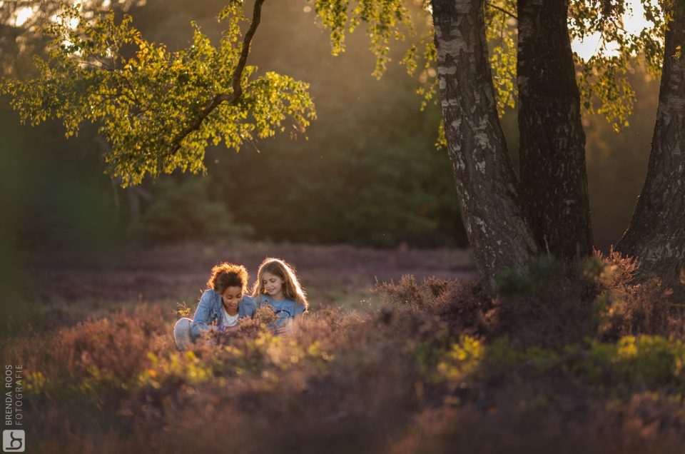 Familie fotograaf | Fotografie Lelystad & Veluwe | Familie | Fotoshoot op de paarse heide