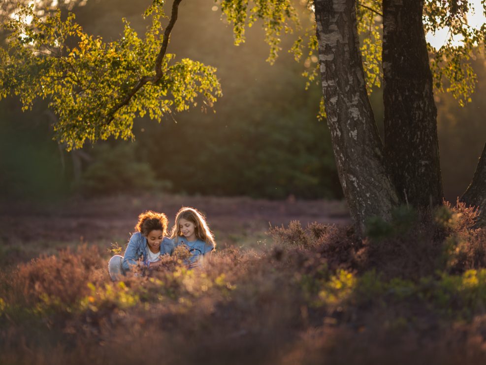 Familie fotograaf | Fotografie Lelystad & Veluwe | Familie | Fotoshoot op de paarse heide